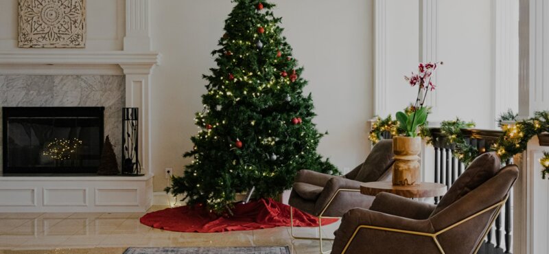 Vánoční stromeček: jak vybrat nejvhodnější stojan a místo, kde se bude nejlépe vyjímat?